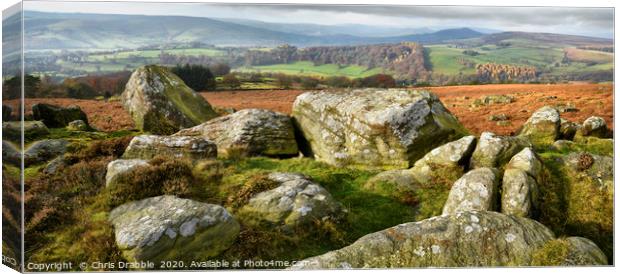 Autumn colours from Carhead Rocks                  Canvas Print by Chris Drabble