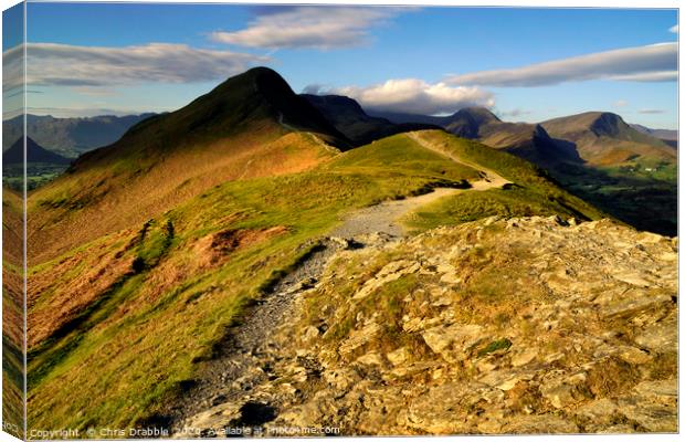 Catbells in cloud shadow, Cumbria, England         Canvas Print by Chris Drabble