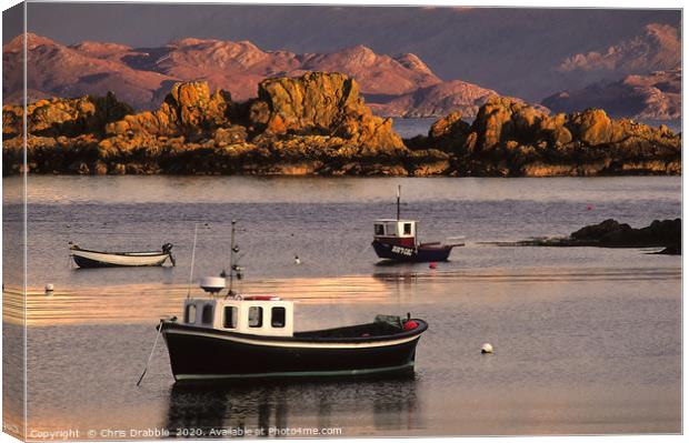 Boats at Armadale harbour Canvas Print by Chris Drabble