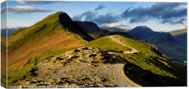 Catbells, caught in early light Canvas Print by Chris Drabble