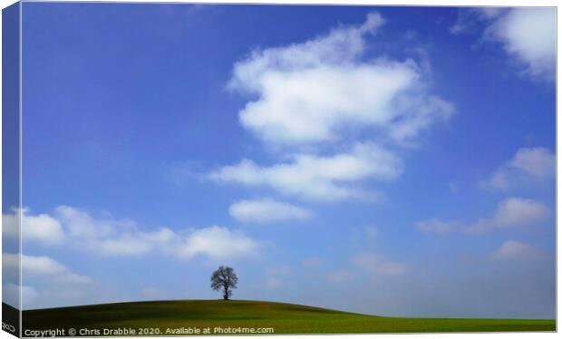 Blue skies over One Tree Hill Canvas Print by Chris Drabble