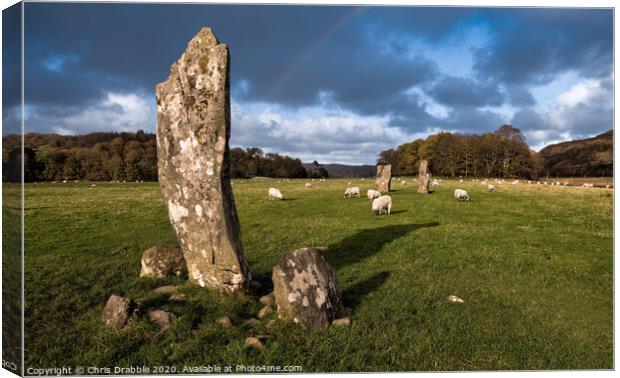 Nether Largie Standing Stones Canvas Print by Chris Drabble