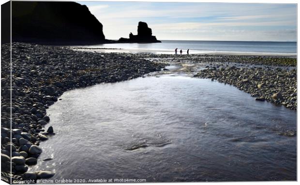 Beach combing at Talisker Bay Canvas Print by Chris Drabble