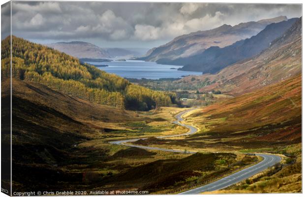 Glen Docherty with Loch Maree in the distance Canvas Print by Chris Drabble