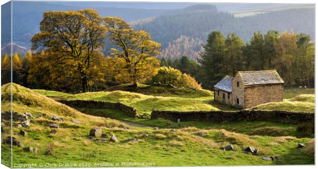 Autumn at Bell Hagg Barn Canvas Print by Chris Drabble