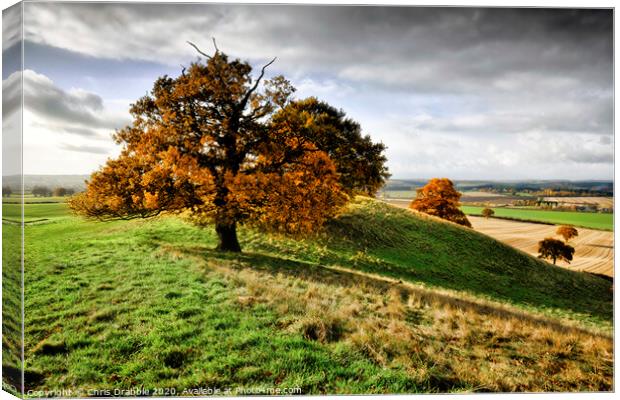 Autumn trees on Loath Hill Canvas Print by Chris Drabble
