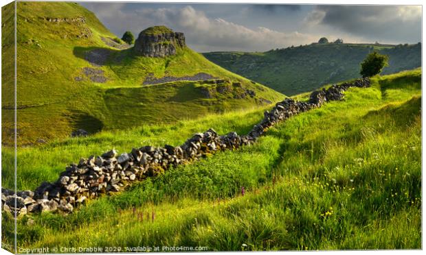 Evening light in Cressbrook Dale (3) Canvas Print by Chris Drabble