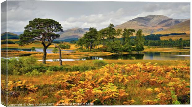 Loch Tulla in early light Canvas Print by Chris Drabble