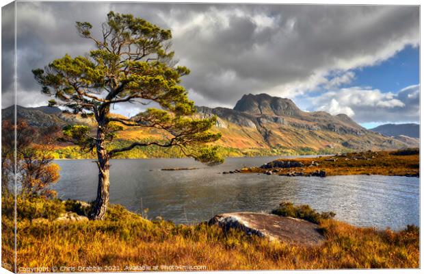 Slioch and Loch Maree Canvas Print by Chris Drabble