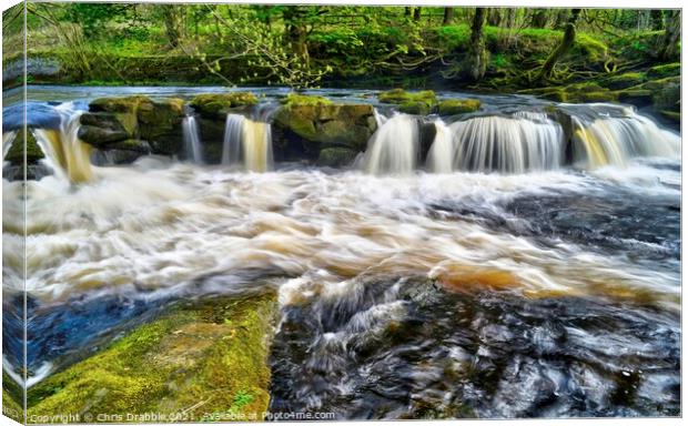 The waterfall at Yorkshire Bridge (3) Canvas Print by Chris Drabble