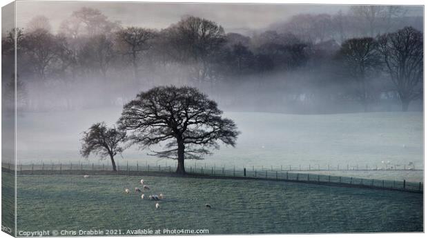 Mist inversion in the Derwent Valley (1) Canvas Print by Chris Drabble