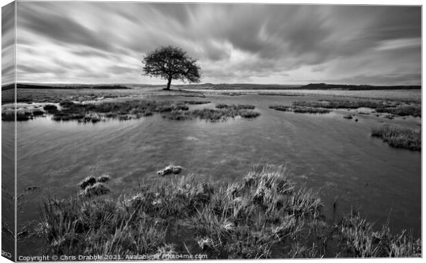 After heavy rain on Middleton Moor (in Mono) Canvas Print by Chris Drabble