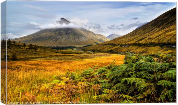 Beinn Dorain Canvas Print by Chris Drabble