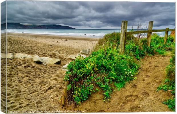 Widemouth Bay Canvas Print by Chris Drabble
