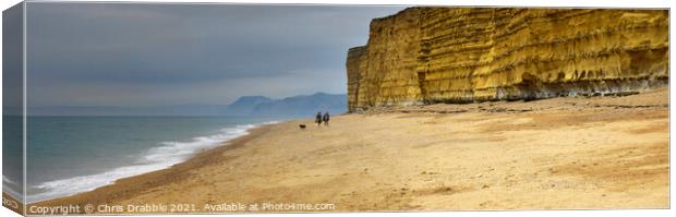 Burton Bradstock beach and cliffs Canvas Print by Chris Drabble
