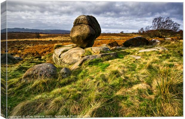 The Rocking Stone on Lawrence field Canvas Print by Chris Drabble
