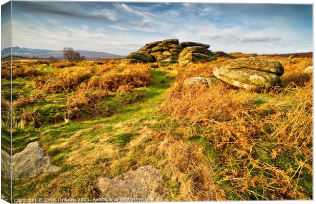 Gritstone Tor Canvas Print by Chris Drabble