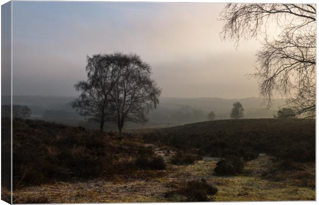 Dawn at Mogshade Hill Canvas Print by Bob Barnes