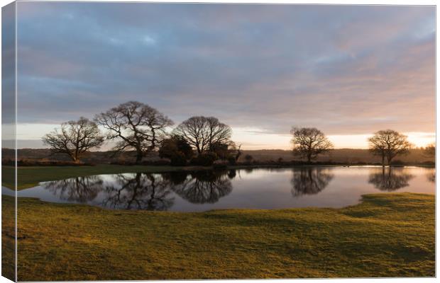 Early morning sun on Mogshade Pond  Canvas Print by Bob Barnes