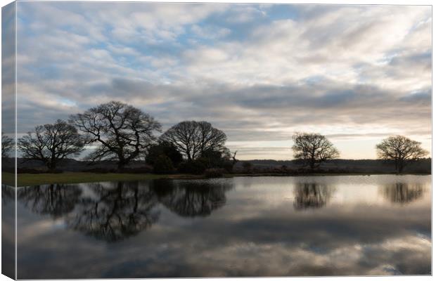 In Reflective Mood Canvas Print by Bob Barnes