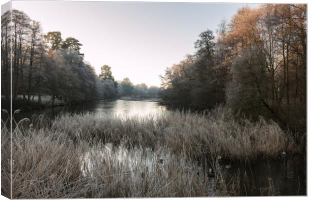 Hoar Frost at Virginia Water Lake Canvas Print by Bob Barnes