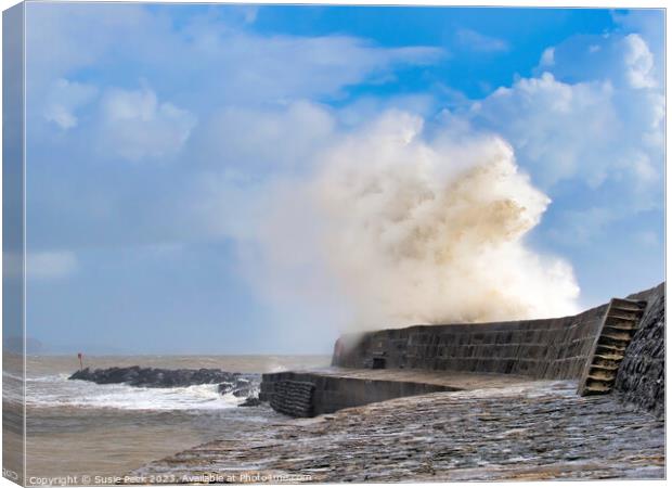 Storm Ciarán at Lyme Regis November 2023 Canvas Print by Susie Peek