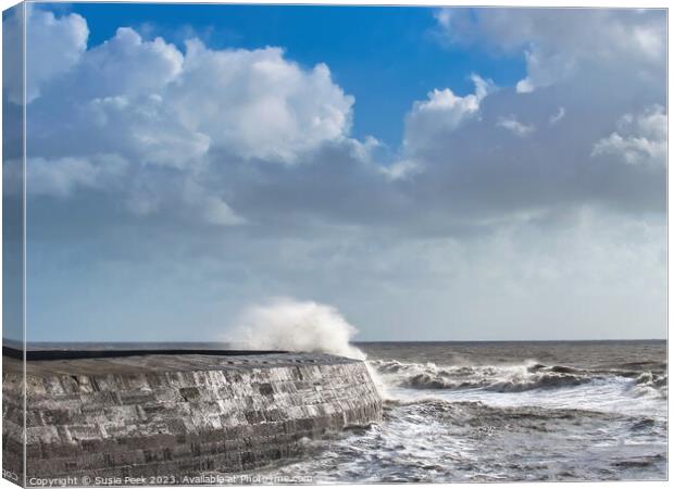 Storm Ciarán at Lyme Regis November 2023 Canvas Print by Susie Peek