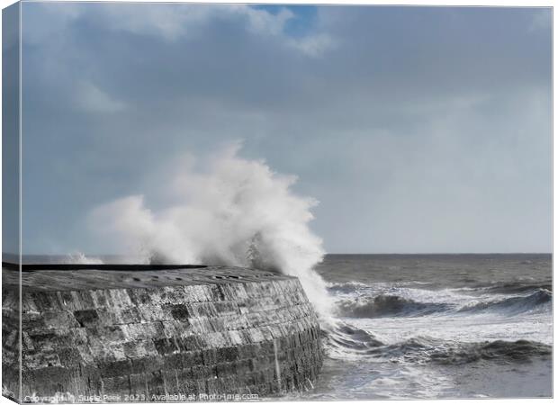 Storm Ciarán at Lyme Regis November 2023 Canvas Print by Susie Peek