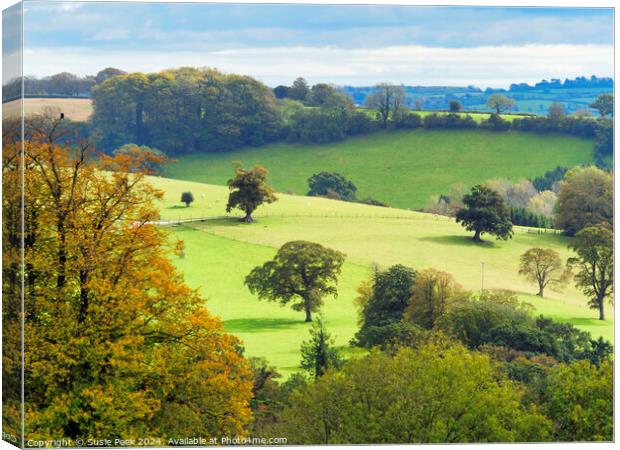 Landscape Overview near Chard Somerset Canvas Print by Susie Peek