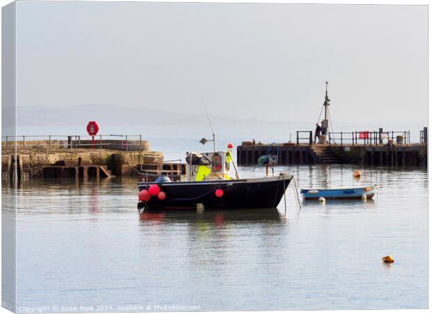 Winter Harbour at Lyme Regis Canvas Print by Susie Peek