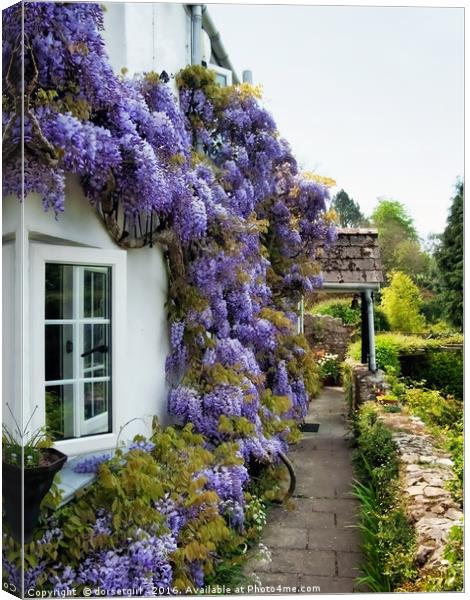 Wisteria Welcome Canvas Print by Susie Peek