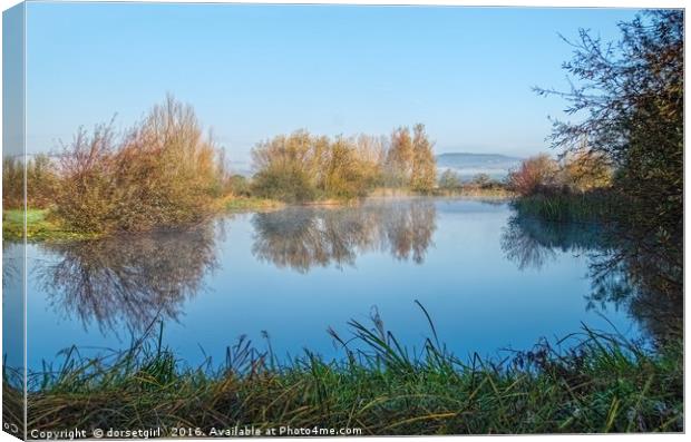 Misty Lake - Lower Bruckland Canvas Print by Susie Peek