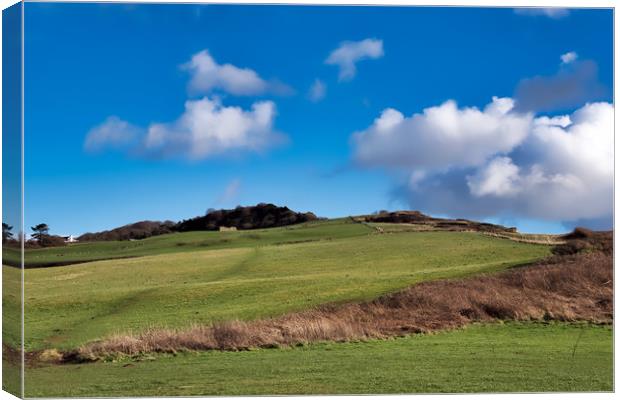 Low Clouds Over Charmouth - February Canvas Print by Susie Peek