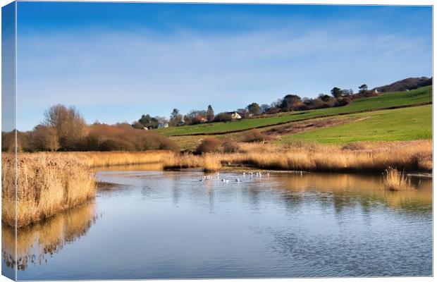 River Char at Charmouth Canvas Print by Susie Peek