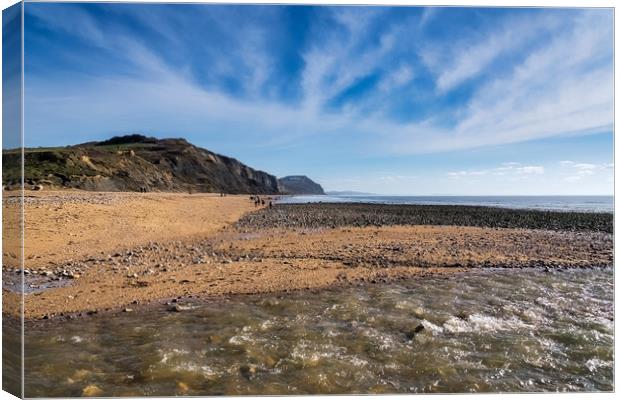 River Char at Charmouth 2 Canvas Print by Susie Peek