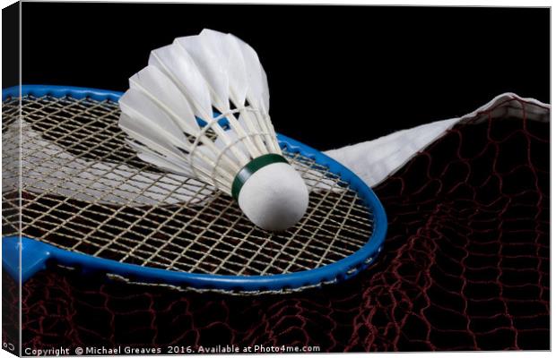 Badminton Canvas Print by Michael Greaves