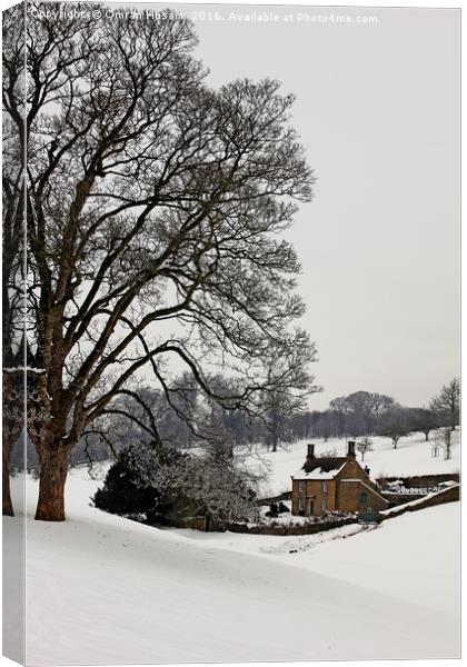 The Cottage in winter Canvas Print by Omran Husain