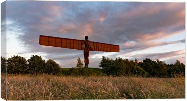 Angel of the North Canvas Print by Andy Gibbins