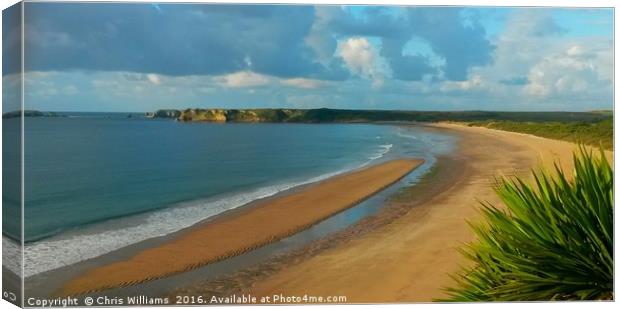 Tenby's Southern Sands Canvas Print by Chris Williams