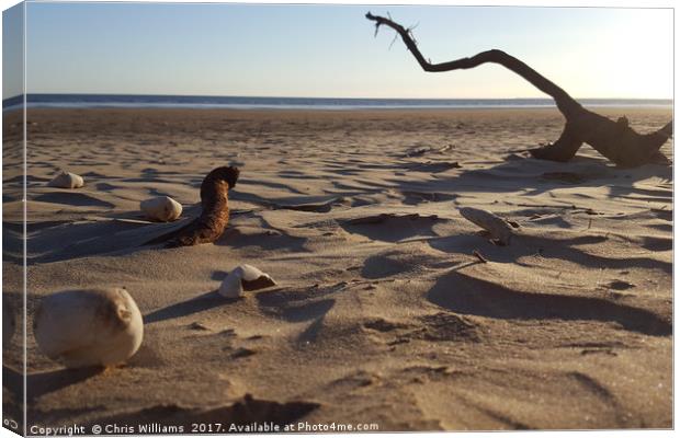 Sandy Skeletons Canvas Print by Chris Williams