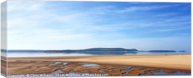 Gower Peninsula Canvas Print by Chris Williams