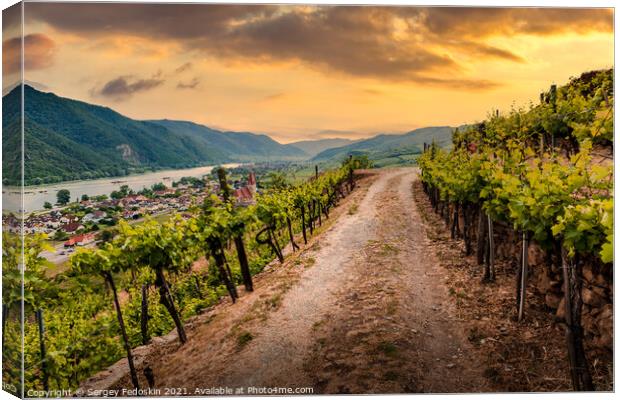 Road through the vineyards at sunset. Wachau Valley. Austria. Canvas Print by Sergey Fedoskin