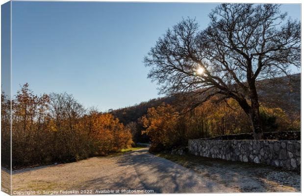 The road in a Balkanian mountains. Croatia. Canvas Print by Sergey Fedoskin
