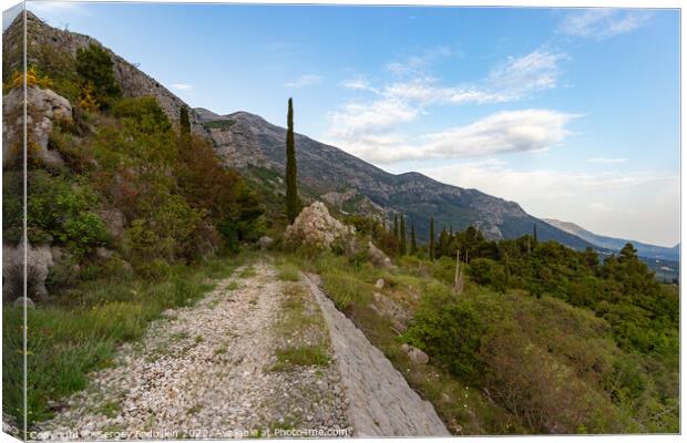 Mountain trail among green hills on a warm summer's day, Dalmatia region. Croatia. Canvas Print by Sergey Fedoskin