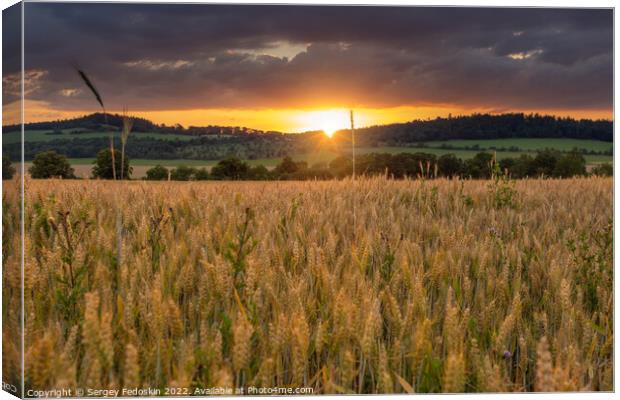 Rye field at sunset. Summer evening landscape. Canvas Print by Sergey Fedoskin