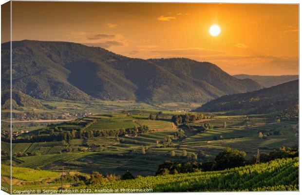 Picturesque landscape with vineyards in Wachau valley. Krems region. Lower Austria Canvas Print by Sergey Fedoskin