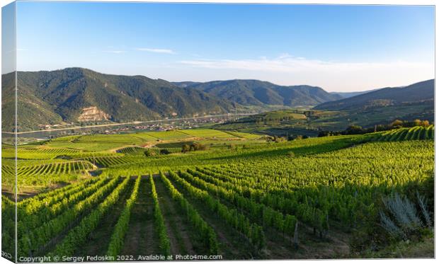 Picturesque landscape with vineyards in Wachau valley. Krems region. Lower Austria Canvas Print by Sergey Fedoskin