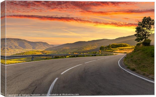 Sunset over vineyards and road. Wachau valley. Austria Canvas Print by Sergey Fedoskin
