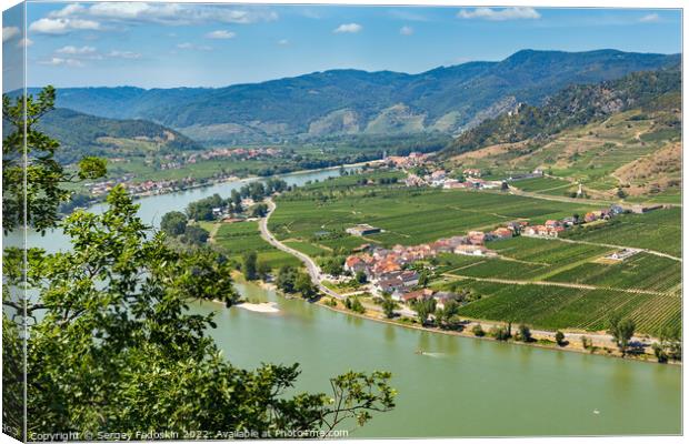 Vineyards by the Danube river in Wachau valley. Lower Austria. Canvas Print by Sergey Fedoskin