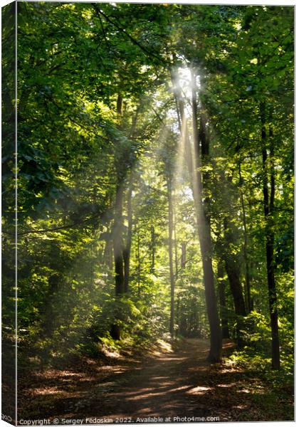 Hiking trail in summer forest Canvas Print by Sergey Fedoskin